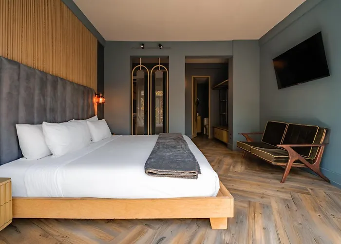 Hotel Pandora House Mexico City